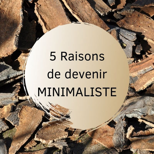 5 Raisons de devenir minimaliste dans son shopping.