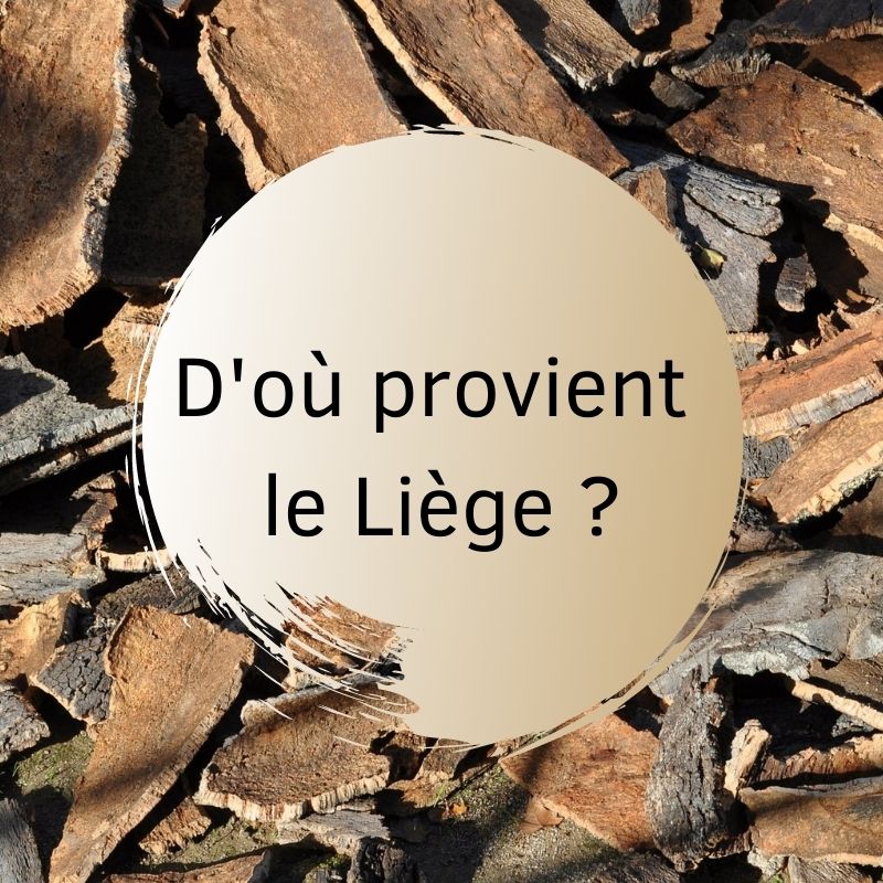 D'où provient le liège ?